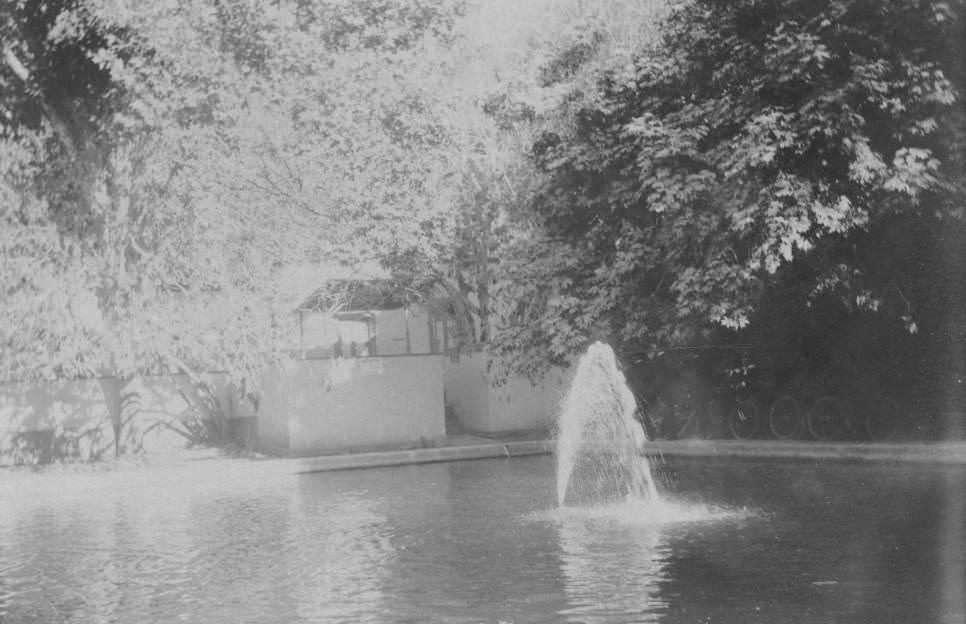 Water fountain in ornamental pool, 1897.
