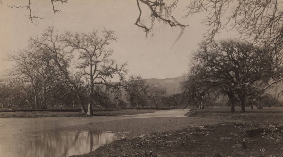 San Martin Ranch, 1890s San Martin Ranch, 1890s