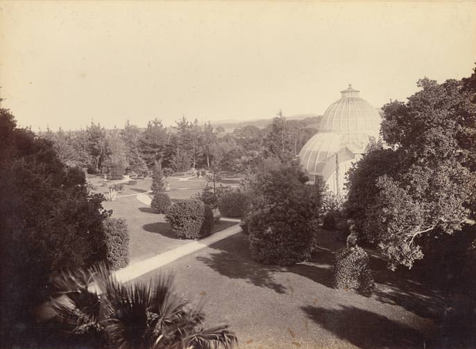 Res. Grounds, D.O. Mills, Millbrae, 1899