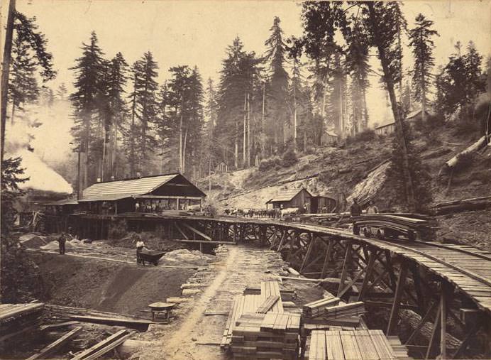 Hanson's Mill, La Honda, 1899