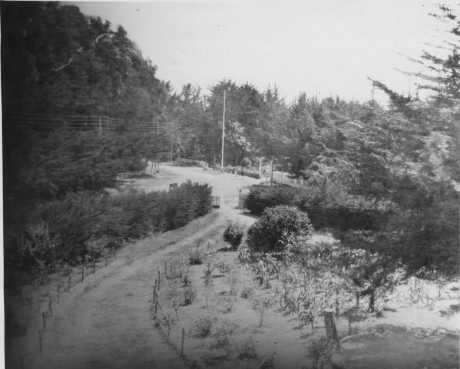 The wharf at Pigeon Point Landing, 1870