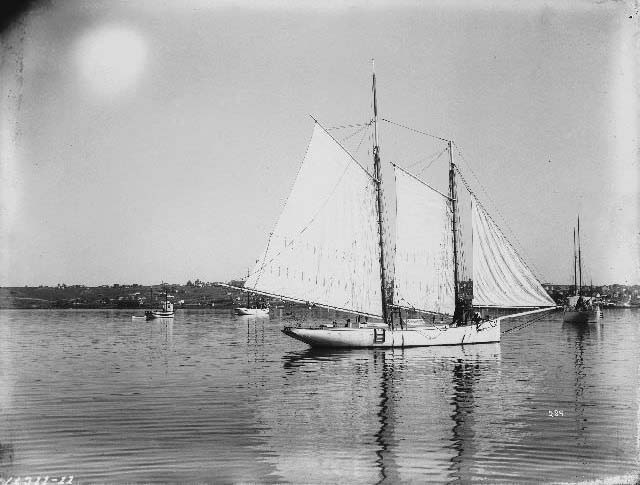 The yacht Point Loma in San Diego Harbor, 1895