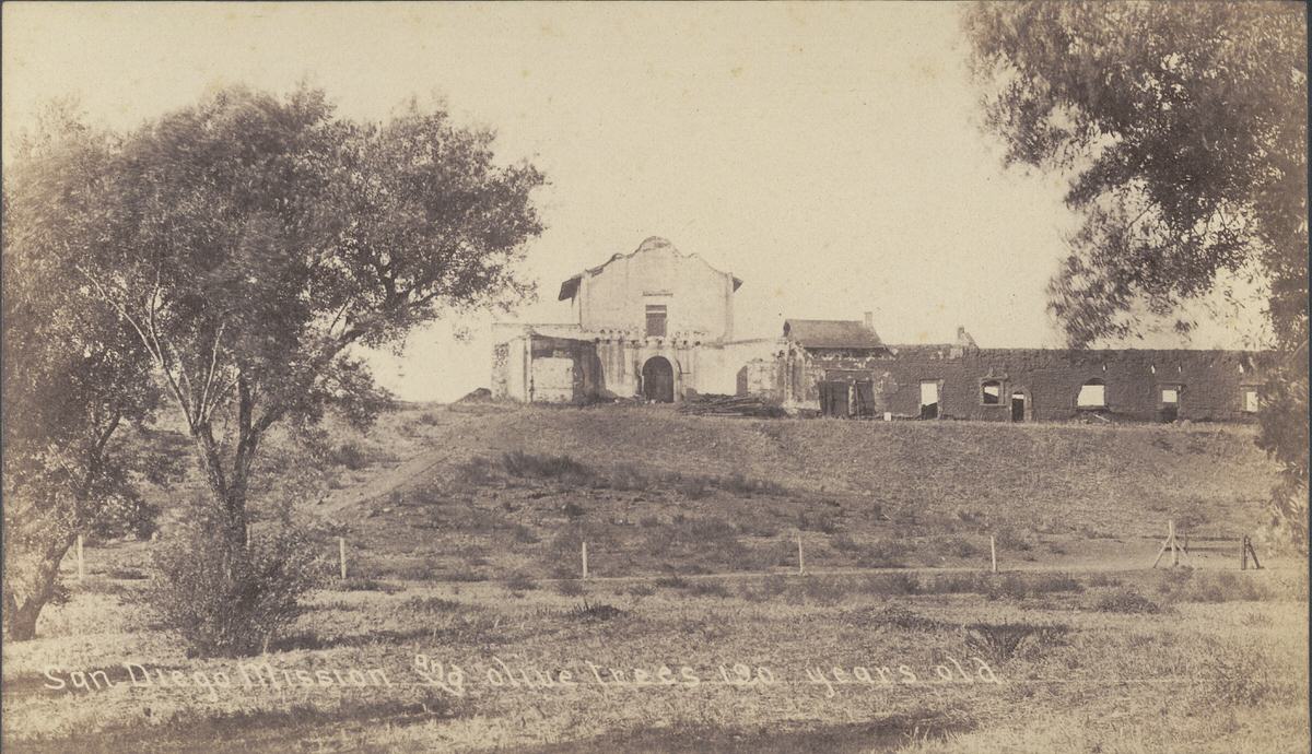 San Diego Mission and olive trees.