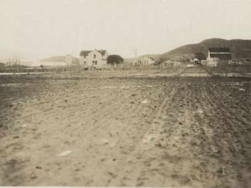 Farmland, San Diego County between, 1895