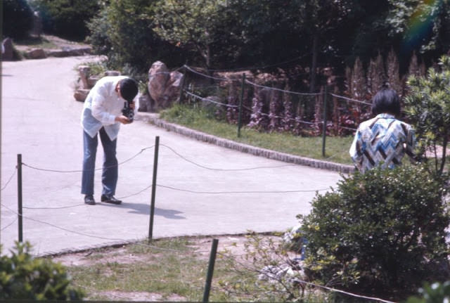 Photographer at park, Shanghai, 1970s