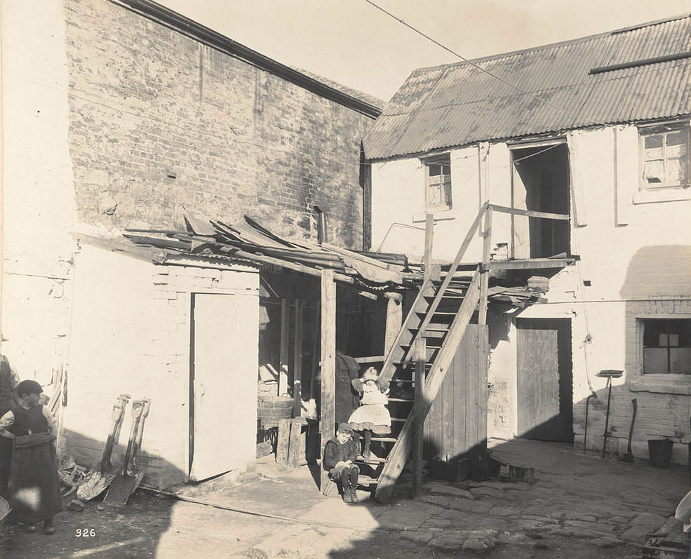 Shed at rear of No. 310 Castlereagh-street