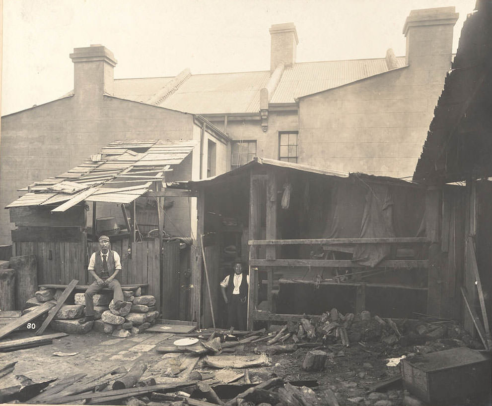 No. 50 Wexford-street (rear), Chinese bedroom