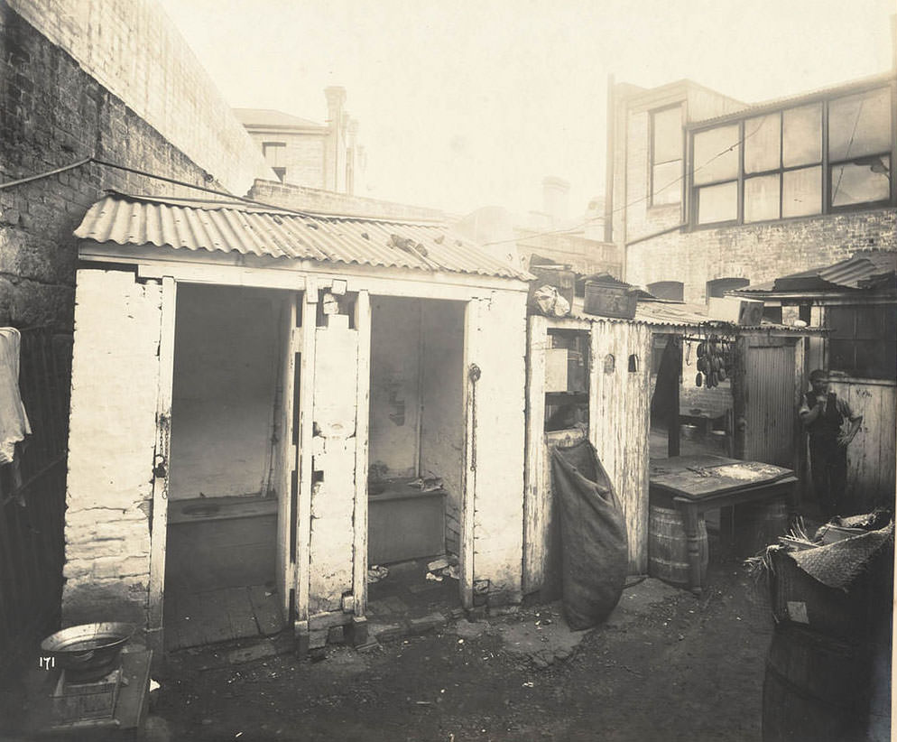 Rear of unidentified butcher's yard with adjacent outhouses