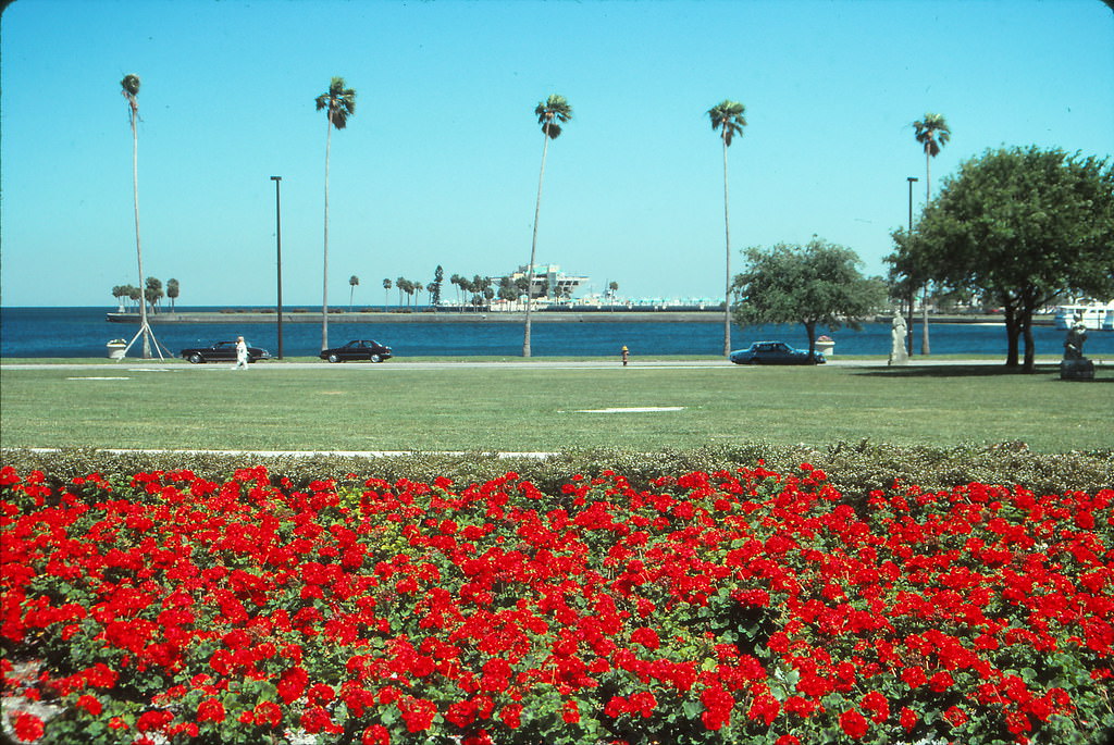 Looking to Tampa Bay from St Petersburg's North Straub Park, Tampa, 1990s