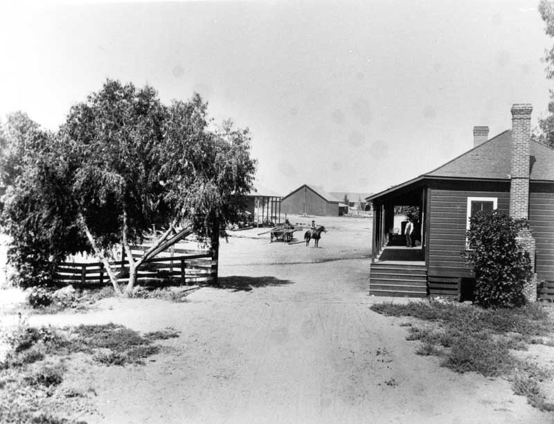 Bellevue Ranch 1880s