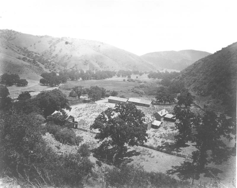 View in Canada de law uvas (Grapevine Canyon), 1880s