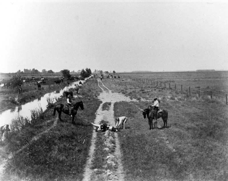 Lakeside ranch cowboys, 1880s