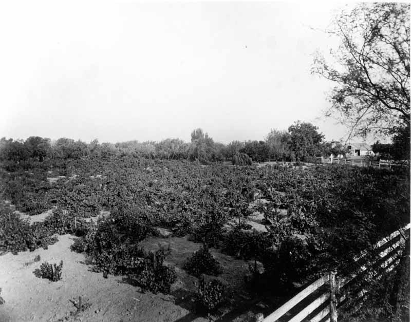 Lakeside Ranch, 1880s