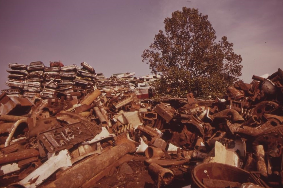 Tree Grows In Philadelphia Junkyard, August 1973