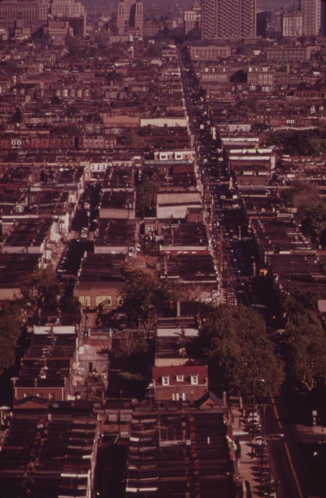Row Houses Stretching Out From Center City, August 1973