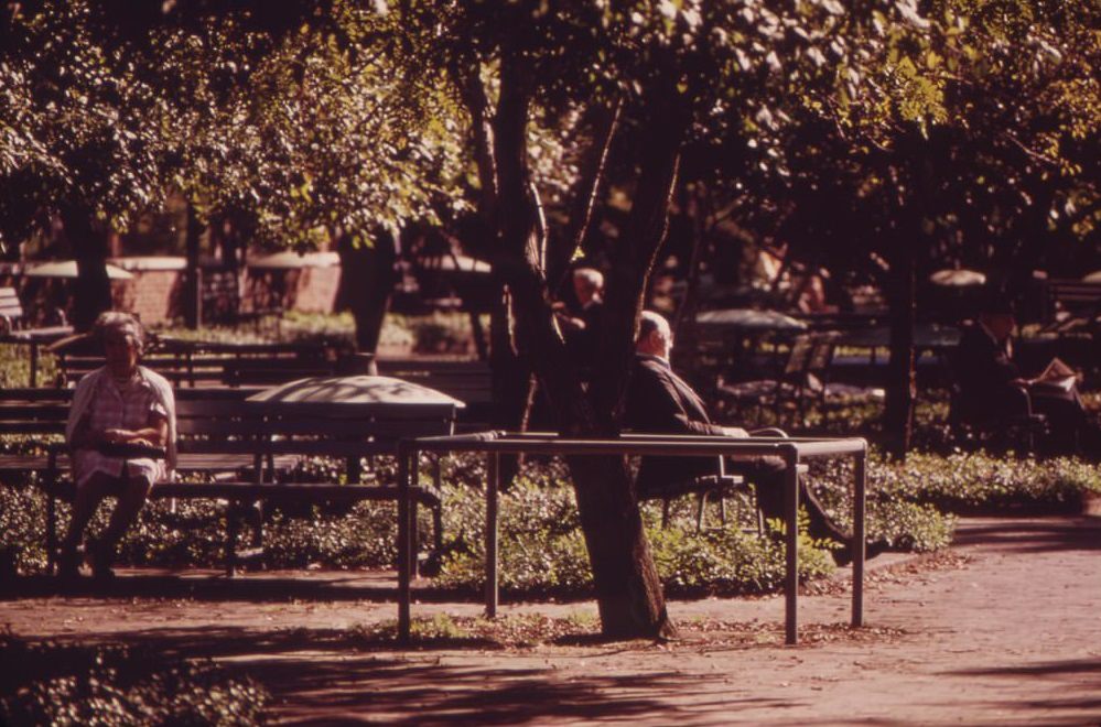 Quiet Greenness Of A City Park, August 1973