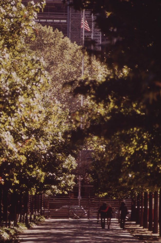 A Stroll In A City Park, August 1973