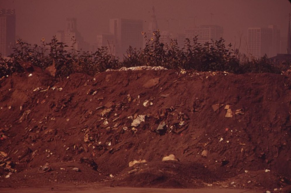 Littered Embankment Near Vine Street Exit Of I-95. Center City Office Buildings In Background, August 1973