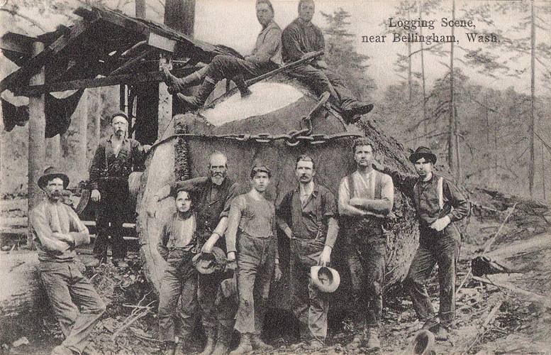 Early loggers, Whatcom County.
