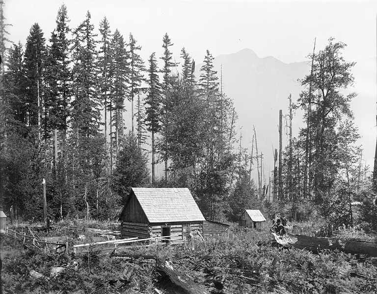 William Thompson cabin, mount baker, 1894