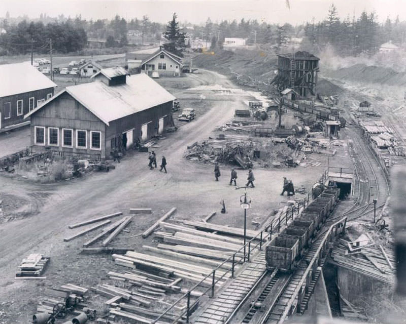 Bellingham coal mine, 1950