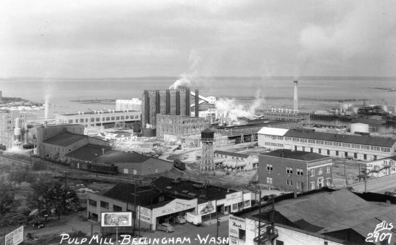 Bellingham pulp mill, 1950