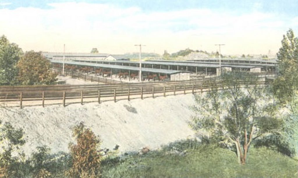 Camp Greene Stables on Remount Road, 1918