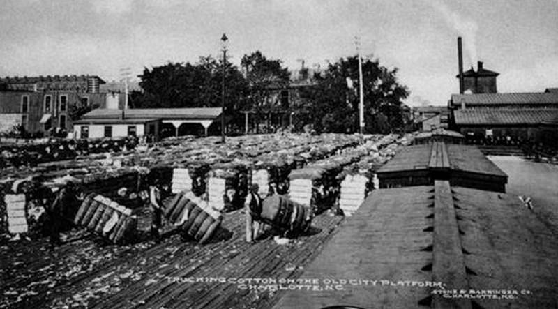 Cotton ready for shipping, 1906