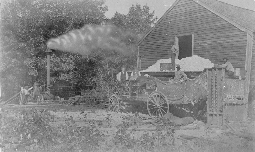 Wagon with cotton and machinery in the back was probably a traveling ginnery, 1900