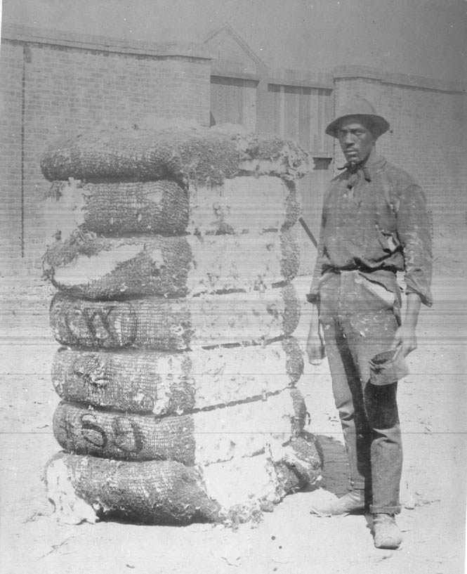 Worker marking bales of cotton as sold, 1900