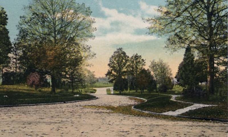 Autumn in Myers Park, 1920