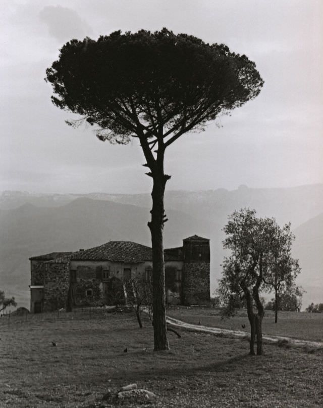 Farm in the mountains between Auletta and Potenza, Italy