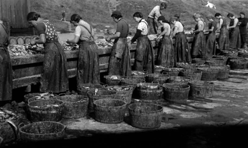 Herring girls gutting fish on the quayside, North Shields