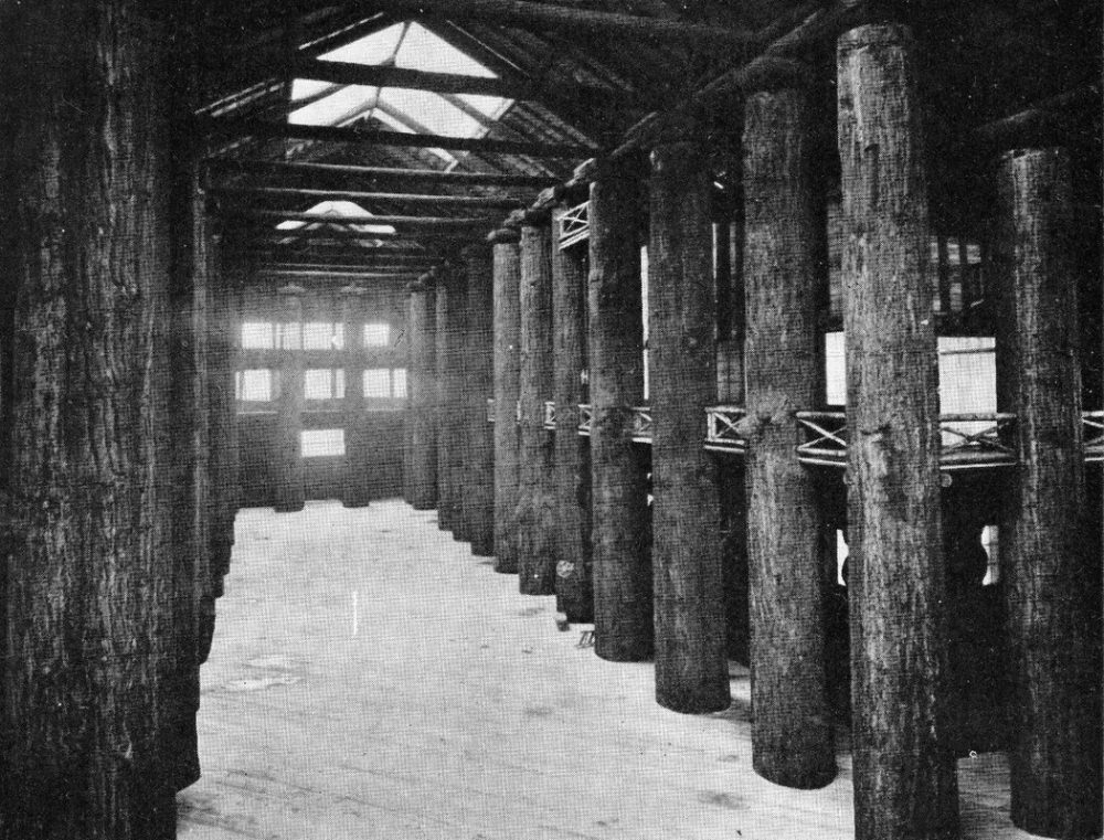 The interior of the Forestry Building, 1907.