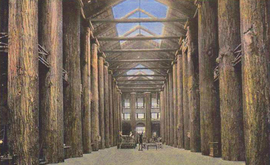 A 1904 postcard showing the interior scene in the Forestry Building, with the central colonnade of matched old-growth fir trees.