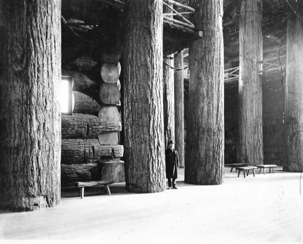 The interior of the Forestry Building, ca. 1905.