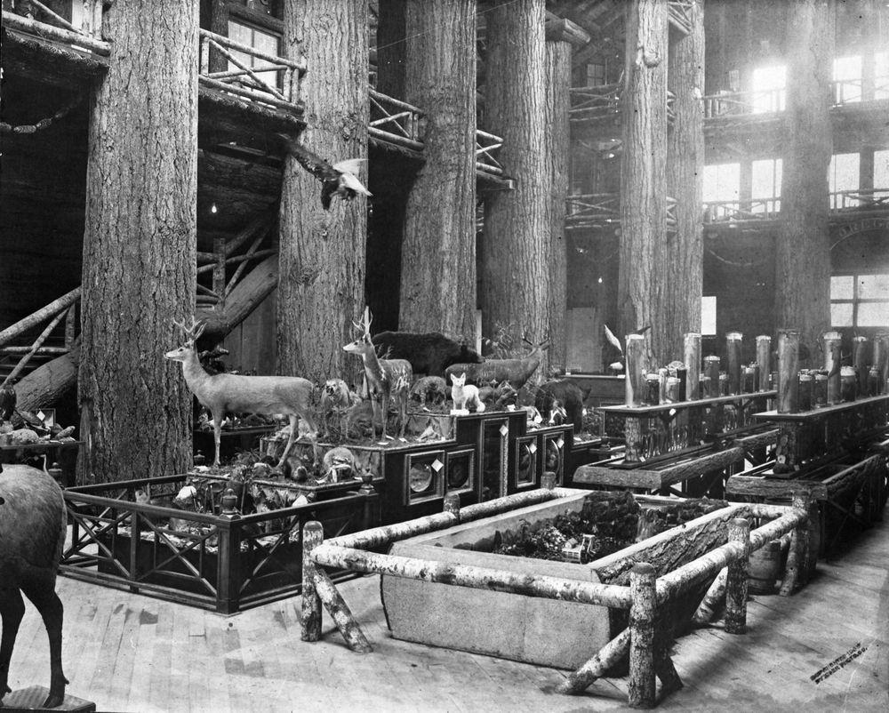 Exhibits within the Forestry Building during the Lewis and Clark Centennial Exposition, 1905.