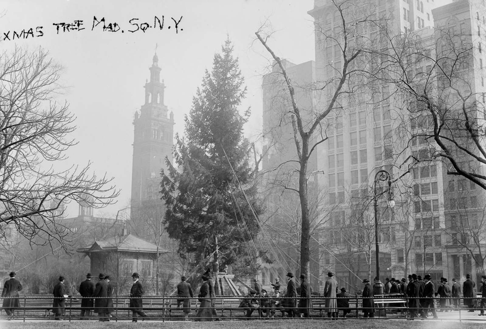 Fascinating Historical Photos of Holiday Shopping in New York City from the Early 20th Century