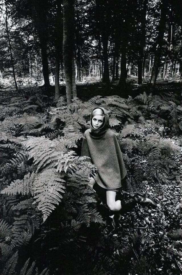 Twiggy in the bracken, 1967