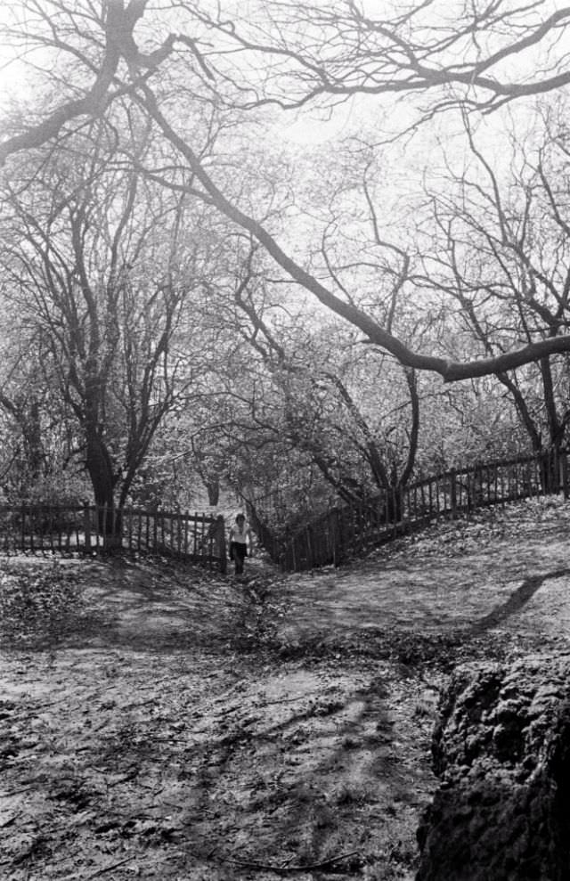 Stunning Black and White Photos of London from the late-1970s by ...