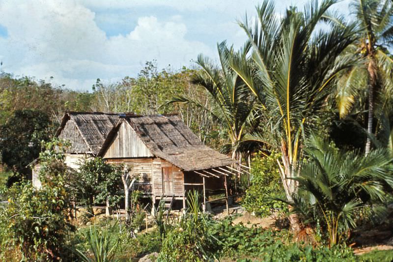 Vintage Photos of Street Life of Malacca, Malaysia in 1971