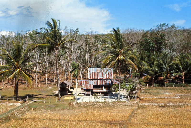 Vintage Photos of Street Life of Malacca, Malaysia in 1971