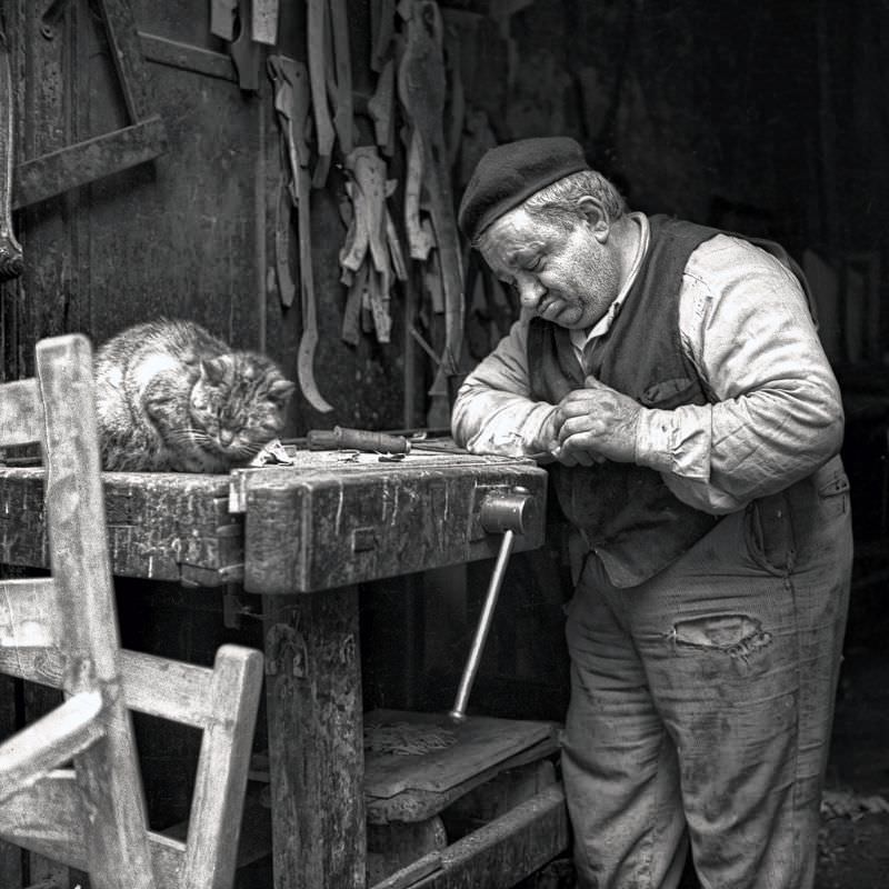 What Naples looked like in the 1950s Through Fascinating historical Photos