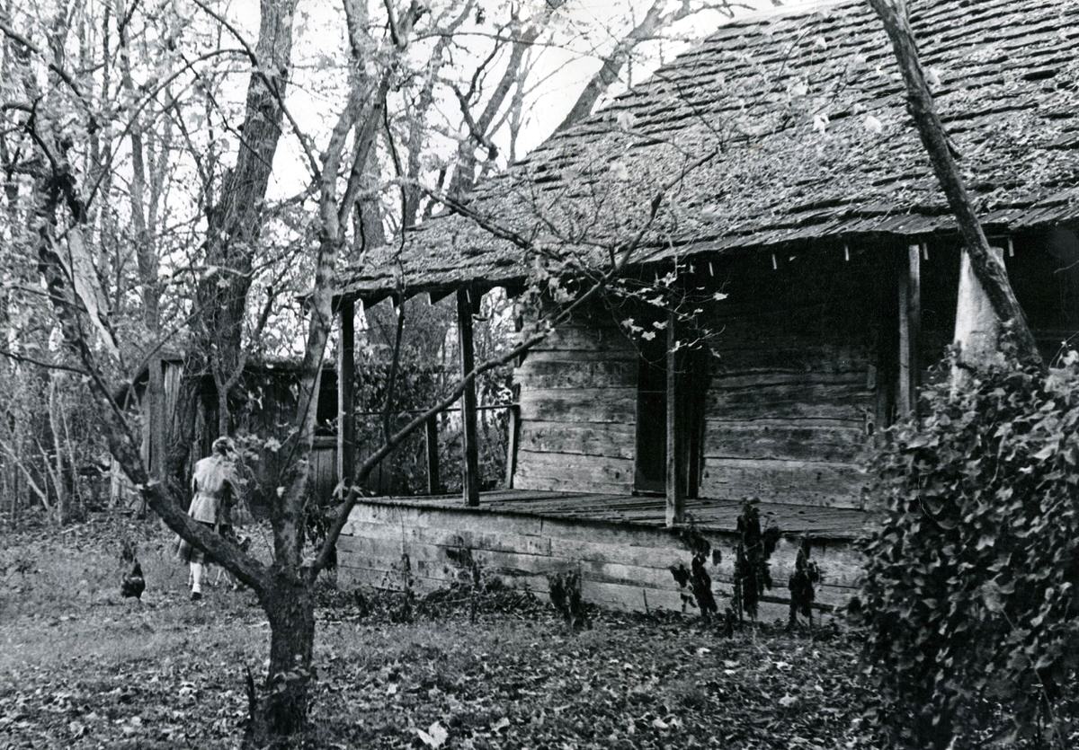 Log cabin at Grassmere, 1980