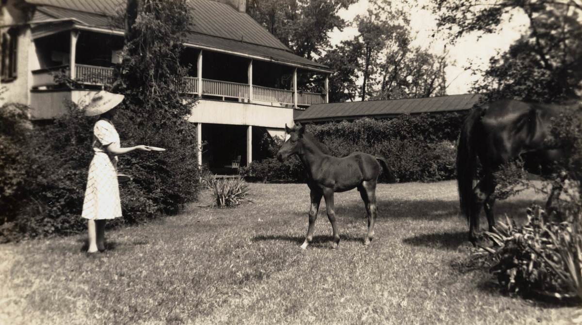 Elise Croft with horse and foal, 1989