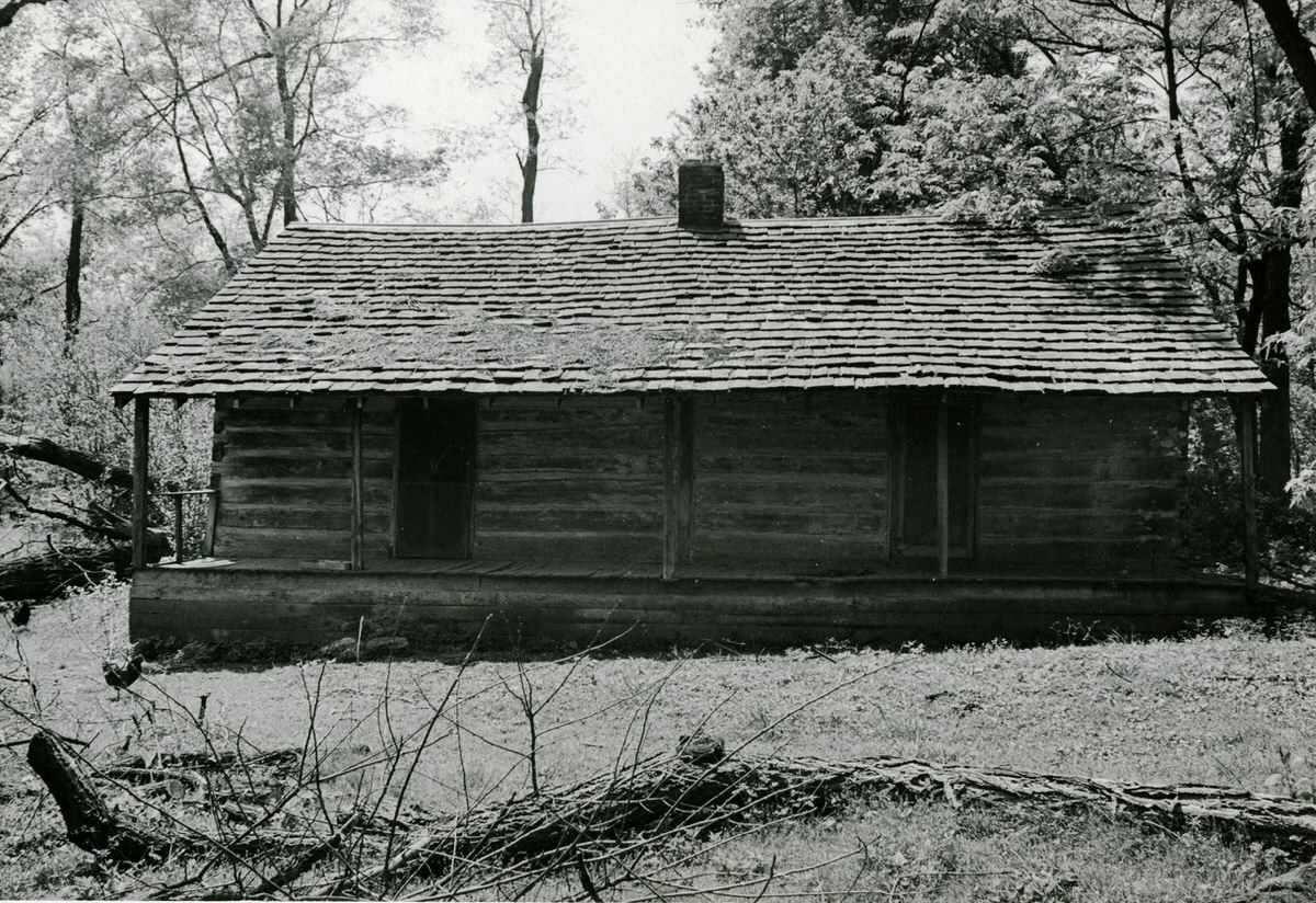 Log cabin at Grassmere,1989