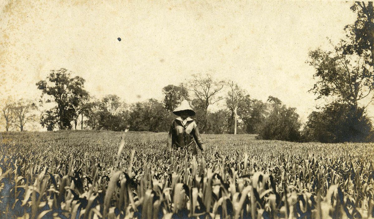 Leila Shute Tigert in field at Grassmere, 1989