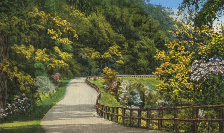 Winding drive, Warner Park, Nashville, 1910s