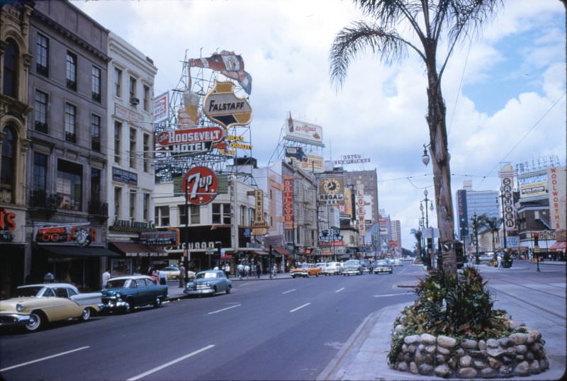 Canal Street stores and buildings, New Orleans, 1956.