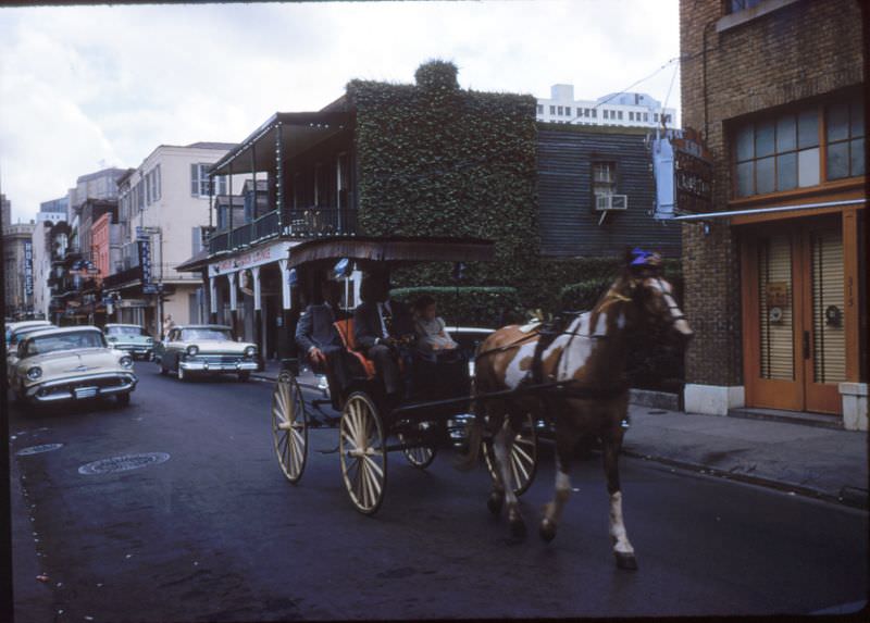 Horse drawn carriage in French Quarter, New Orleans, 1956.